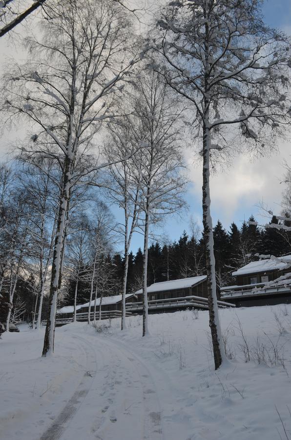 Chalet Le Forestier Bullange Exteriér fotografie