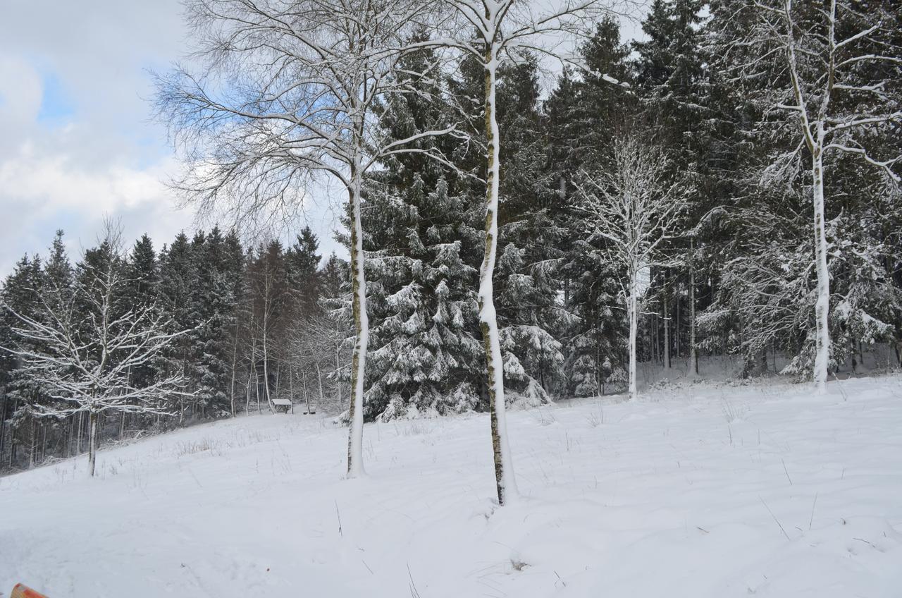 Chalet Le Forestier Bullange Exteriér fotografie
